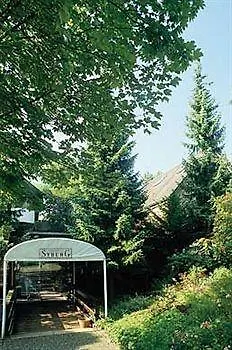 Syburg Hotel 3*